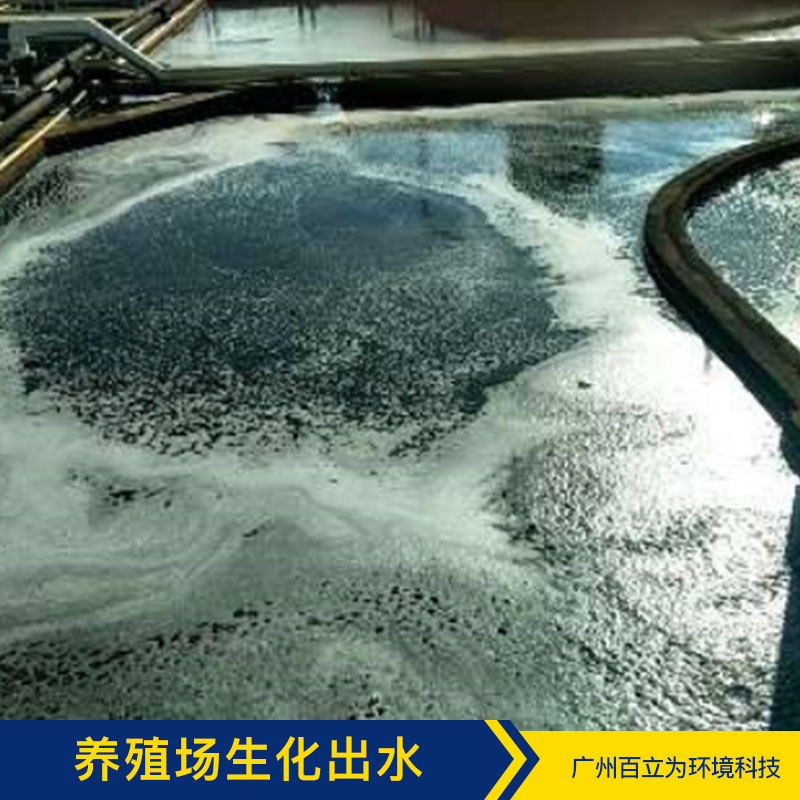 污水處理 廣州污水凈化方案 污水凈化 污水處理菌 品質(zhì)保證
