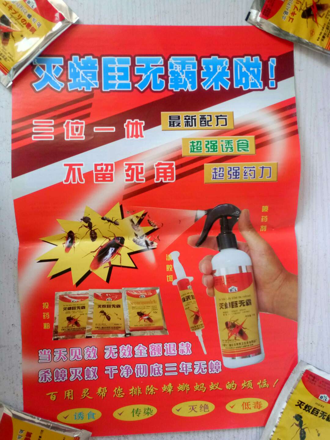 吉林百用靈滅蟑靈廠家直銷吉林供應(yīng)商報價銷售 百用靈蟑螂藥 吉林蟑螂藥 噴劑蟑螂藥