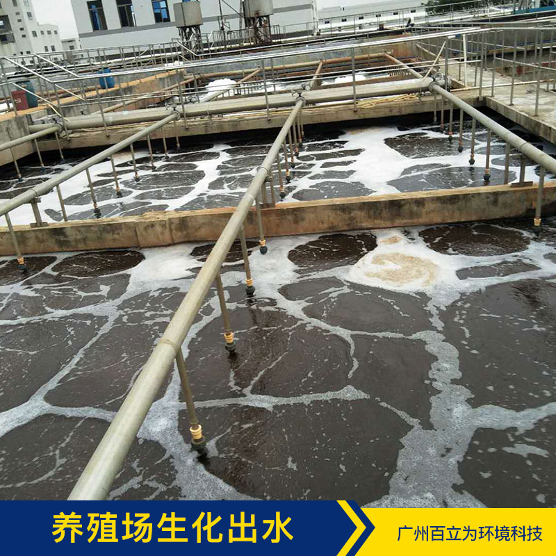 養(yǎng)殖場(chǎng)生化出水 廣州污水凈化方案 污水凈化 污水處理菌 品質(zhì)保證