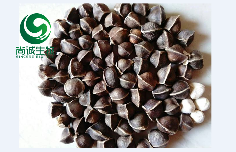 生姜提取物姜辣素