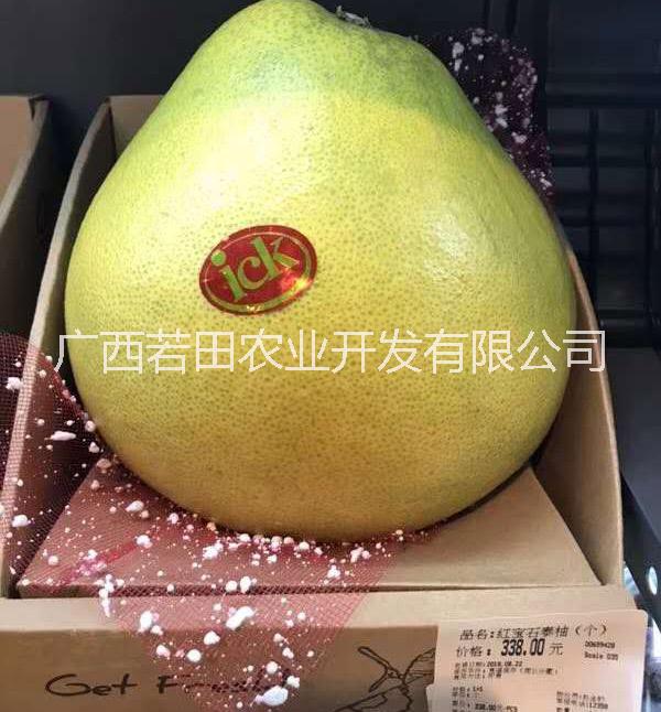 還在傻傻的種三紅蜜柚？泰國(guó)紅寶石柚的時(shí)代來了 若田鉆石青柚 泰國(guó)紅寶石柚