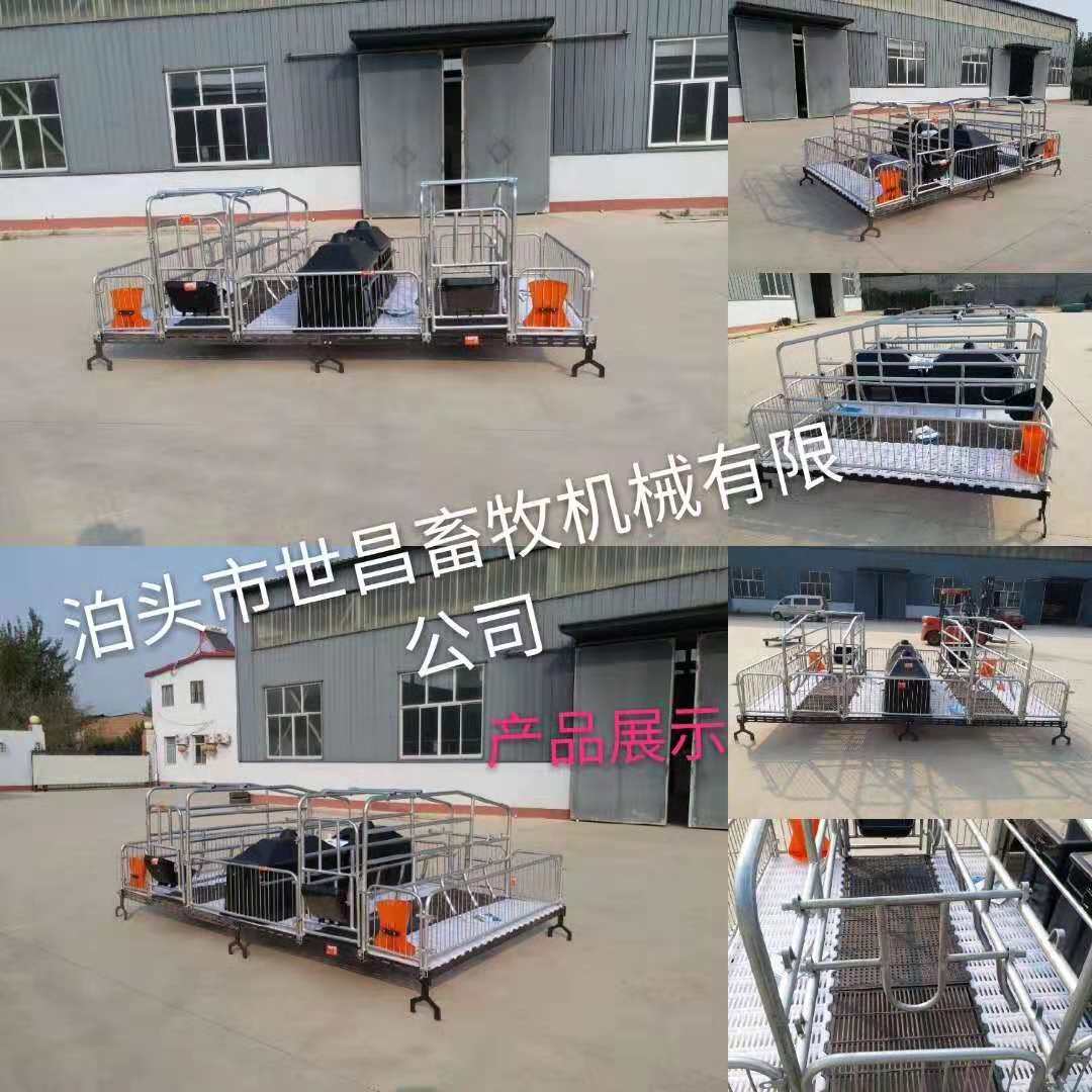 新式改良母豬雙體產(chǎn)床鍍鋅管多樣式 現(xiàn)代化養(yǎng)豬新設(shè)備