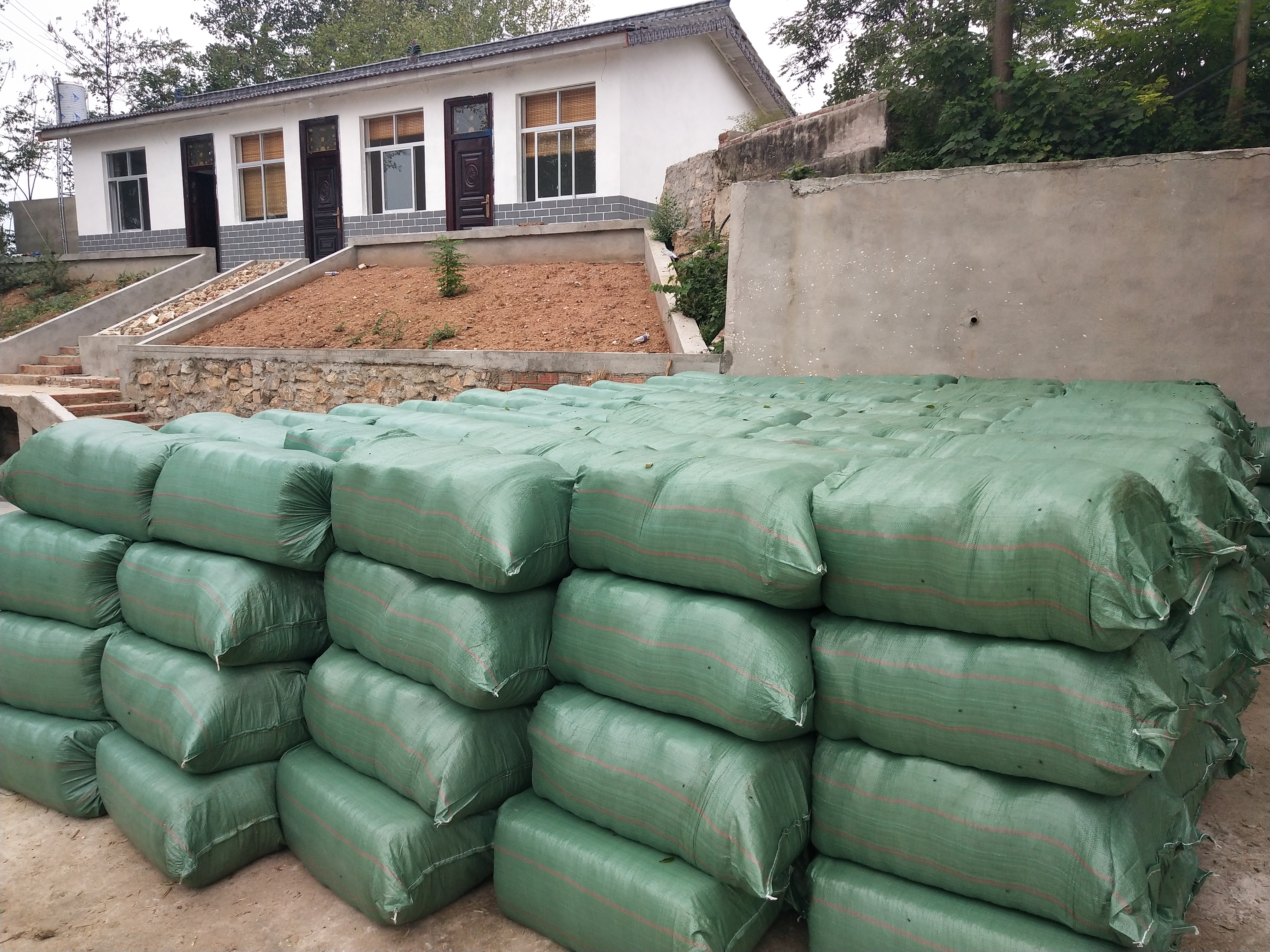 陜西漢中勉縣玉米秸稈青飼料陜西粗飼料廠家牛羊*粗飼料玉米秸稈粗飼料廠家