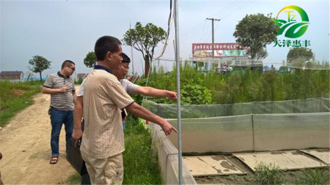 如何選擇青蛙養(yǎng)殖場(chǎng)地