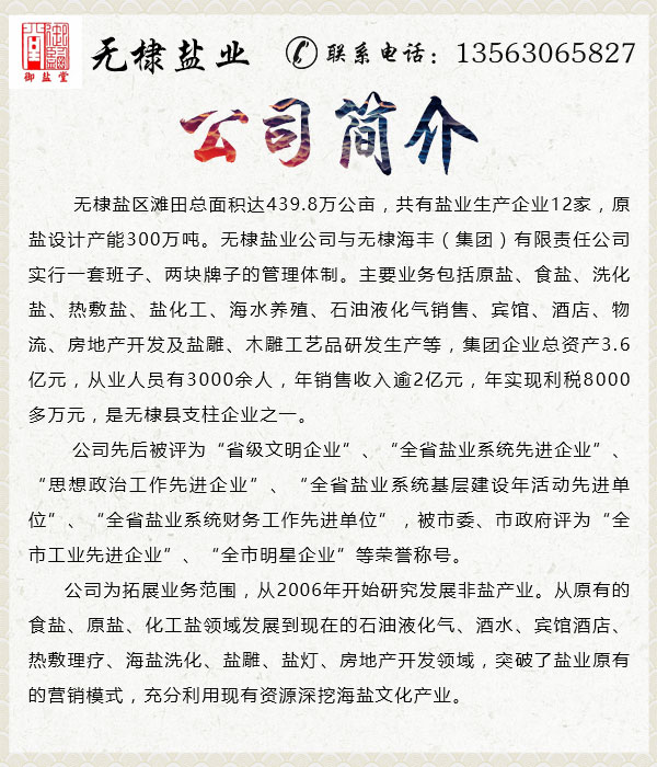 個(gè)人護(hù)理用品/熱敷袋腰部腹部/無(wú)棣鹽業(yè)