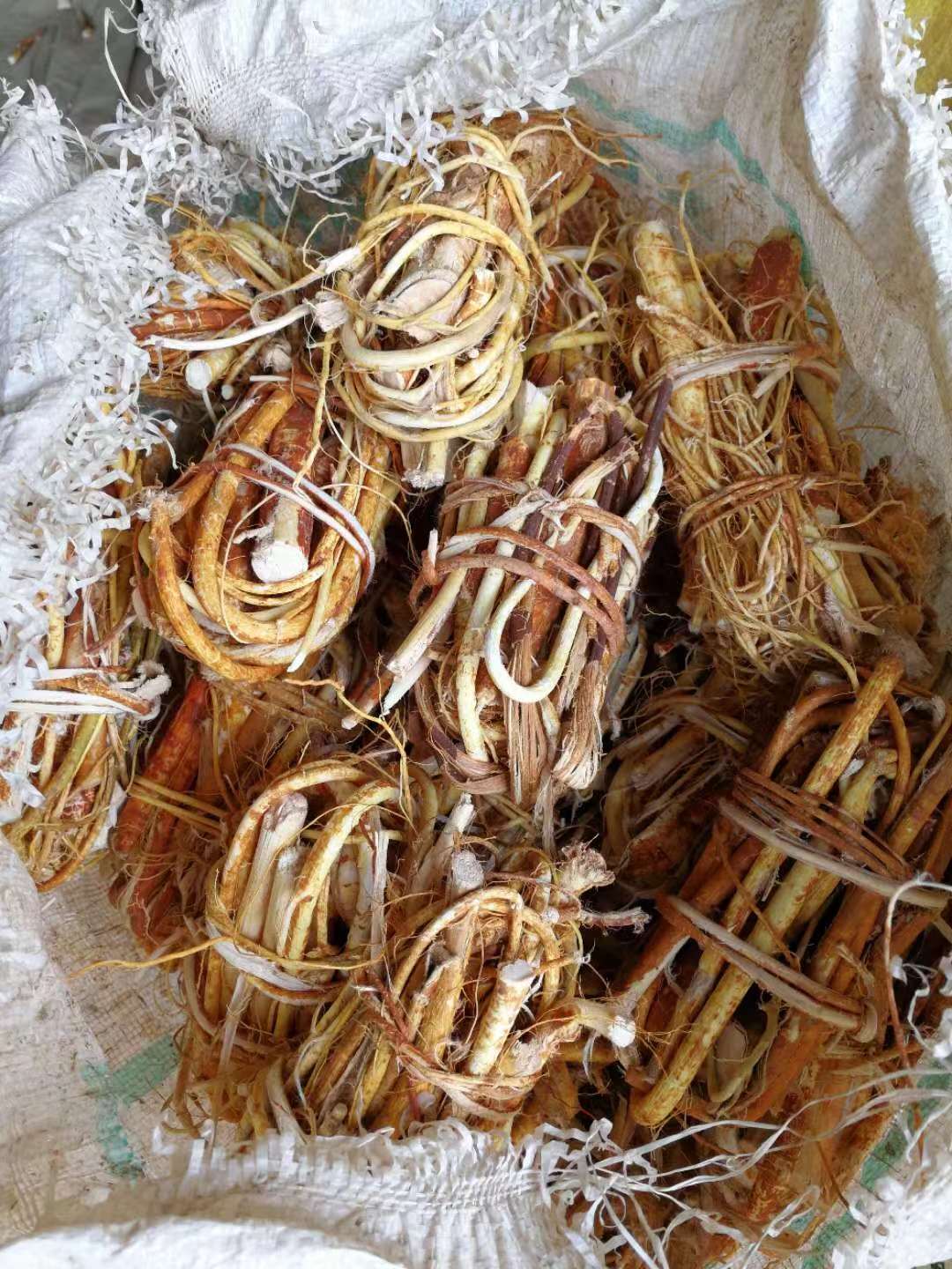 五指毛桃價格-廠家