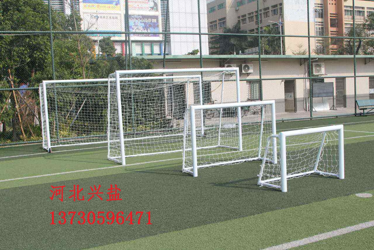 學(xué)校足球門(mén)生產(chǎn)廠家 七人制足球門(mén)