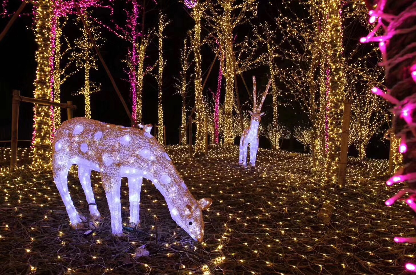 燈光節(jié)制造廠家