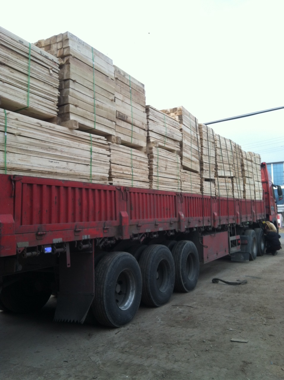 萊州楊木方加工廠