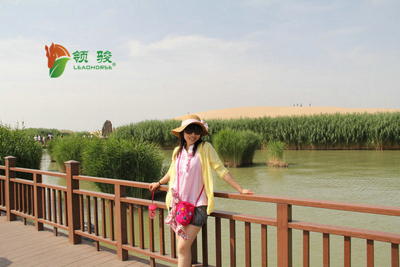 木塑欄桿 木塑護(hù)欄圍欄柵欄 福建領(lǐng)駿木塑 護(hù)欄廠家直銷