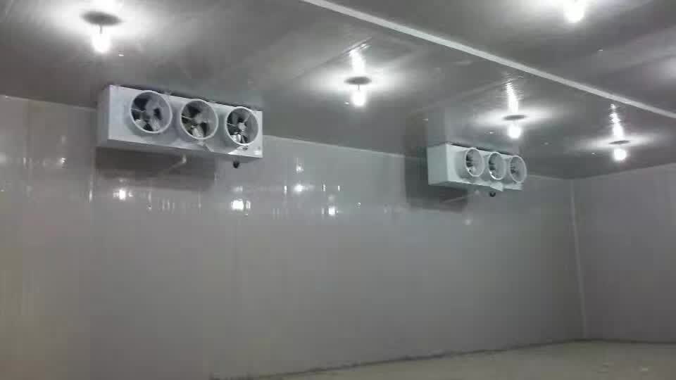 云南蔬菜保鮮冷庫_蔬菜保鮮庫多少錢一平方_蔬菜保鮮庫安裝_蔬菜保鮮庫價格_蔬菜保鮮庫廠家 云南保鮮冷庫