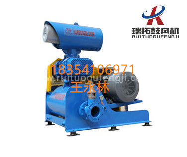 生產(chǎn)三葉羅茨風(fēng)機(jī)的大廠家