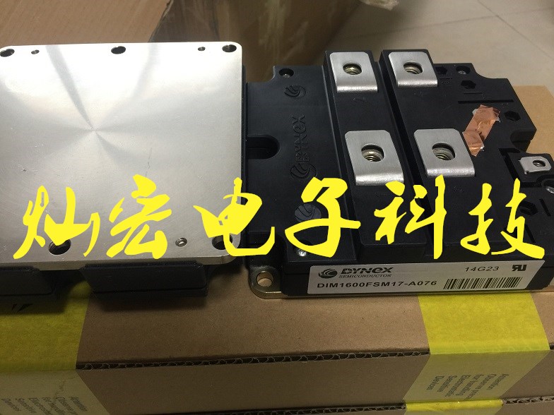 DYNEX丹尼克斯DIM1600FSM17