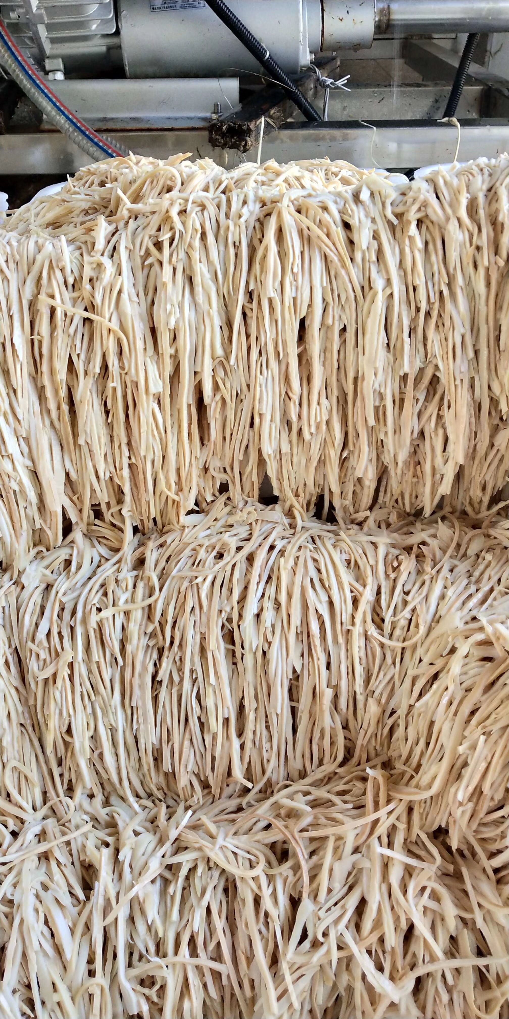 江西石花尖*竹筍 碳烤筍