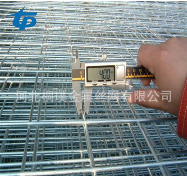 出售鐵絲固定苗床網(wǎng)片 電焊牢固重物方格貨架網(wǎng)片 * 供應(yīng)優(yōu)質(zhì)苗床網(wǎng)片