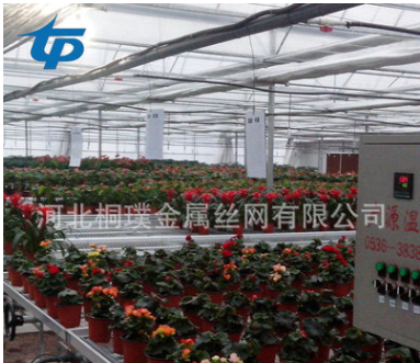 花卉苗床廠家直銷  多肉植物苗床 花卉養(yǎng)殖花架移動苗床網(wǎng) 多肉養(yǎng)殖育苗 花卉苗床經(jīng)銷商價格