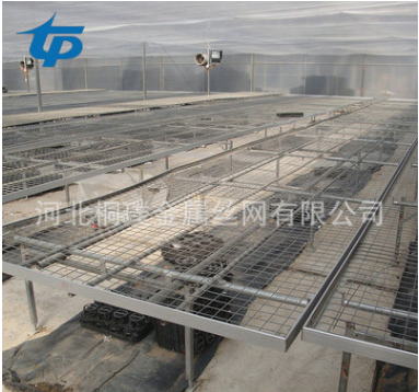 出售鐵絲固定苗床網(wǎng)片 電焊牢固重物方格貨架網(wǎng)片 * 供應(yīng)優(yōu)質(zhì)苗床網(wǎng)片