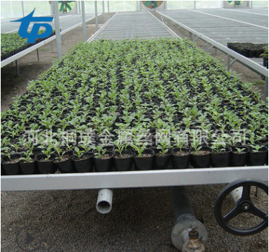 育苗養(yǎng)花整體大棚床 防傾斜熱鍍鋅 溫室采摘園*花卉苗床 大棚床批發(fā)價(jià)格