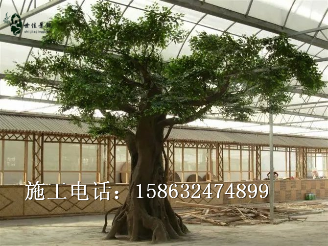 供應(yīng)室內(nèi)假樹 室內(nèi)仿真樹