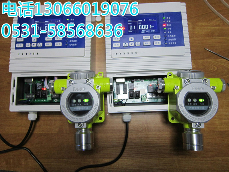 *氣體泄漏報警器 在線式*檢測器價格