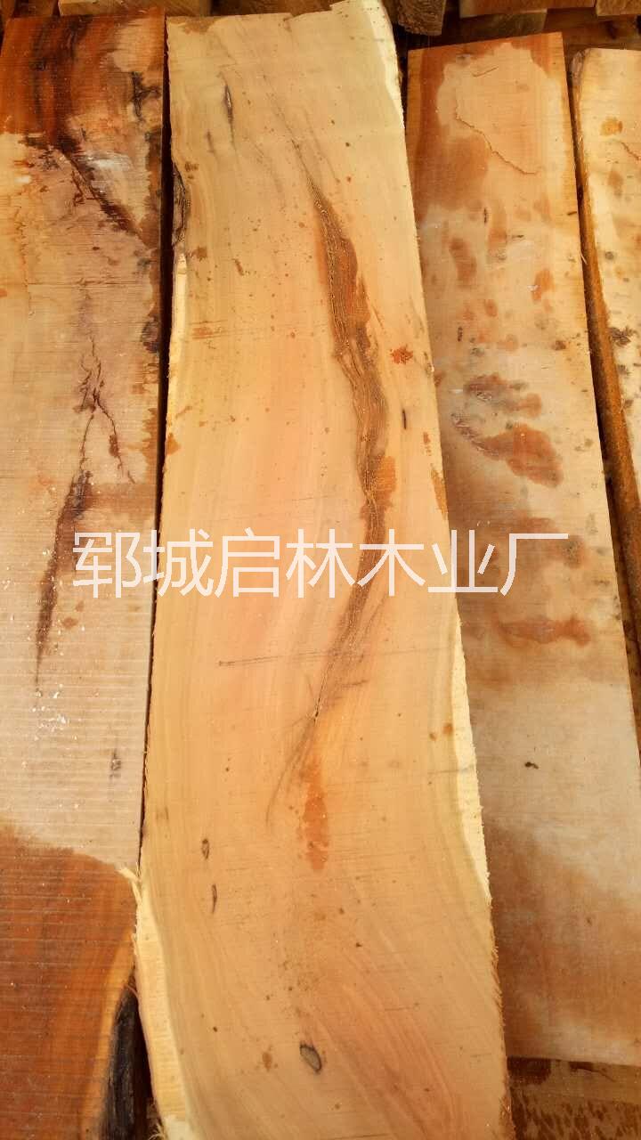 山東大棗木原木