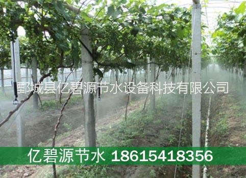 四川蓬溪縣砂糖桔果樹滴灌滴灌水帶軟帶pe外絲三通多少錢