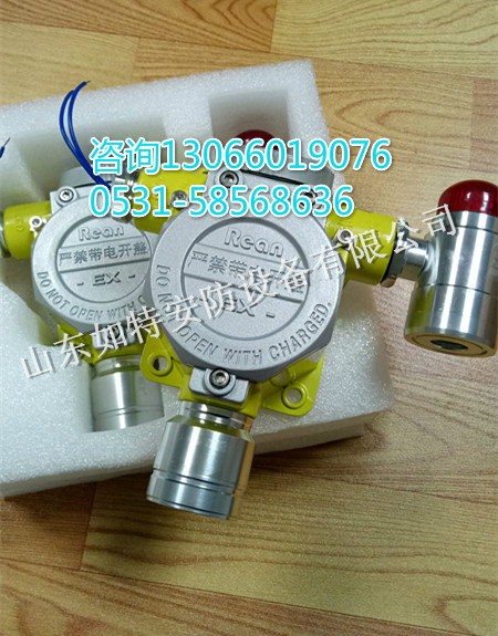 *氣體泄漏報警器 在線式*檢測器價格