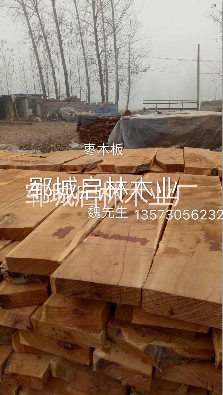 大量出售棗木原木