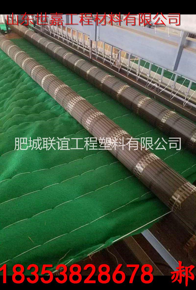 生態(tài)袋廠家_生態(tài)毯廠家_抗沖生態(tài)毯_生態(tài)毯_
