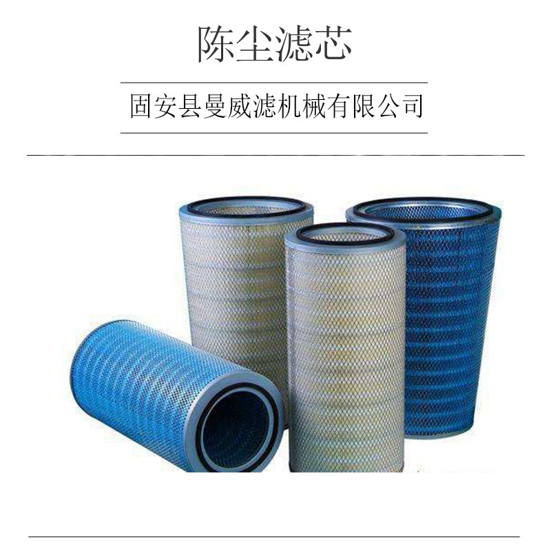 河北除塵濾芯 精密過濾芯 現(xiàn)代除塵濾芯 供應濾芯 廠家直銷 品質(zhì)保障 除塵濾芯 除塵濾芯廠家