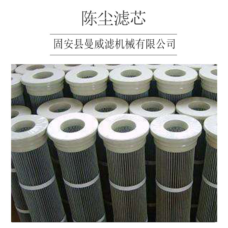 河北除塵濾芯 精密過濾芯 現(xiàn)代除塵濾芯 供應濾芯 廠家直銷 品質(zhì)保障 除塵濾芯 除塵濾芯廠家