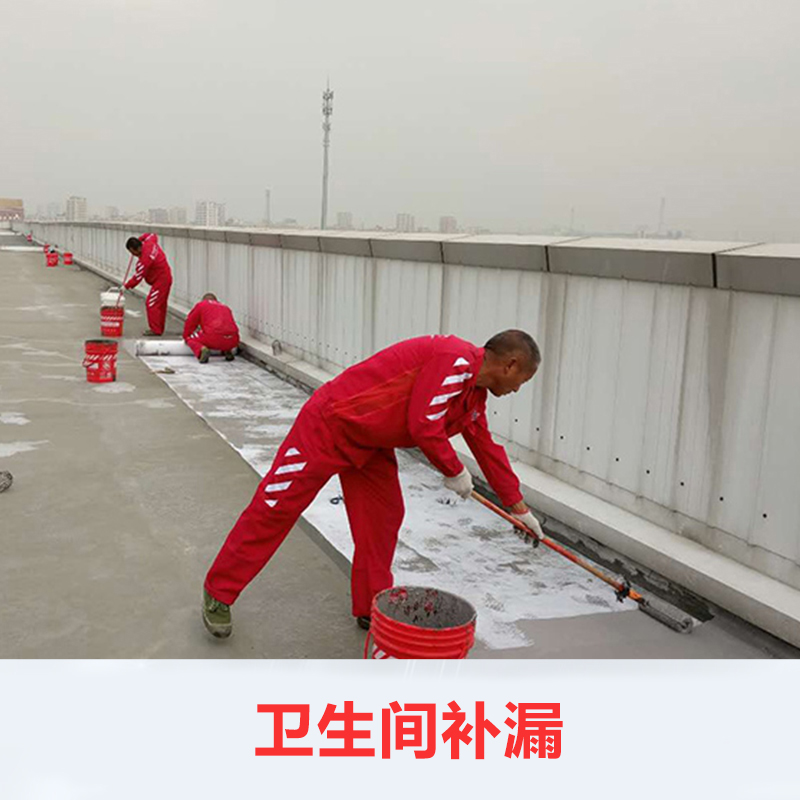 衛(wèi)生間補(bǔ)漏 衛(wèi)生間補(bǔ)漏工程 防水補(bǔ)漏公司 補(bǔ)漏防水 優(yōu)質(zhì)工程