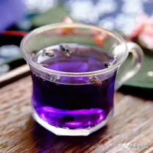 新疆精河紅枸杞王免洗紅枸杞子  枸杞子新疆特產(chǎn)  紅枸杞王 新疆精黑枸杞王 新疆精黑枸杞王價(jià)格