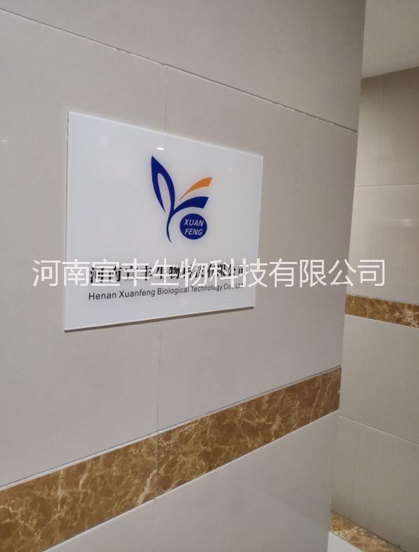 河南宣豐直銷低溫中溫淀粉酶的價(jià)格 1千活力2千活力淀粉酶廠家