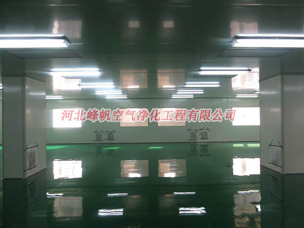 河北凈化廠房裝修 無塵車間,凈化車間設(shè)計方案石家莊 保定 邢臺 廊坊 衡水