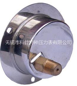 耐震帶邊嵌裝壓力表