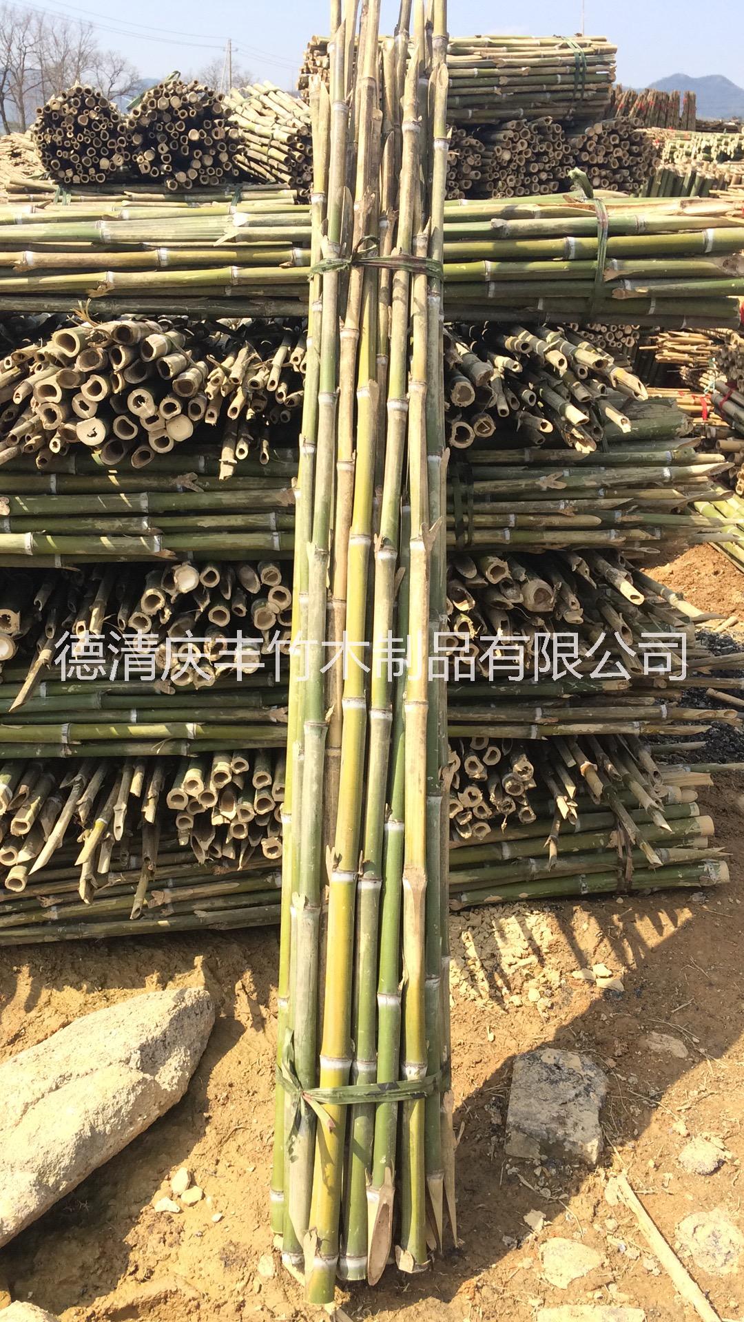 防腐防蟲熏蒸竹桿水煮竹子 大竹竿供應(yīng)商 大竹竿批發(fā) 浙江大竹竿批發(fā)  防腐裝修竹竿 防腐防蟲熏蒸 防腐防蟲竹片竹條