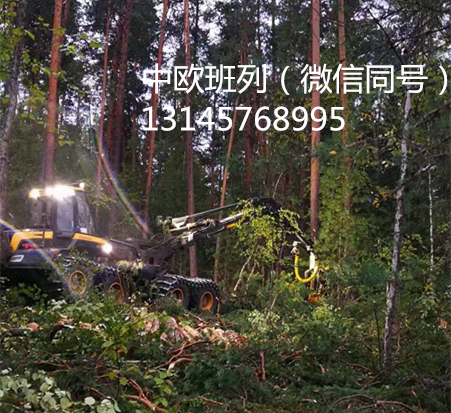 俄羅斯新西伯利亞木材進口班列運輸路線如何