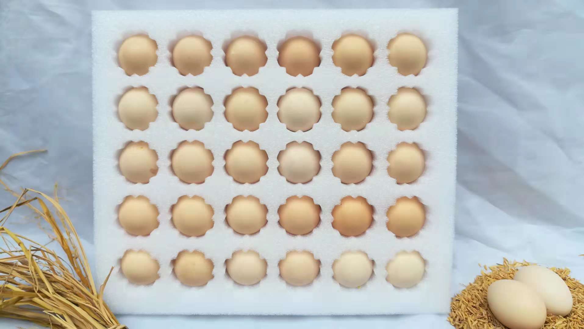 廣東農(nóng)家土雞蛋|*農(nóng)家土雞蛋|農(nóng)家土雞蛋批發(fā)|農(nóng)家土雞蛋價(jià)格|農(nóng)家土雞蛋報(bào)價(jià)|廣東農(nóng)家土雞蛋