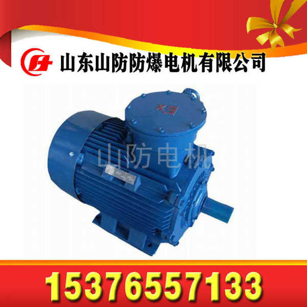【YBK2-315L2-4防爆電機(jī)產(chǎn)品規(guī)格】【YBK2系列隔爆型電機(jī)山防品牌】