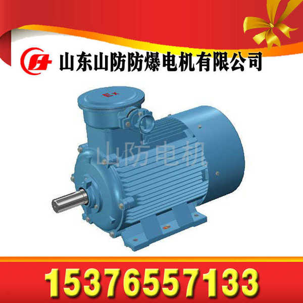 山防標(biāo)牌三相異步電動機(jī)_185KW_YBK3-355M1-6電機(jī)