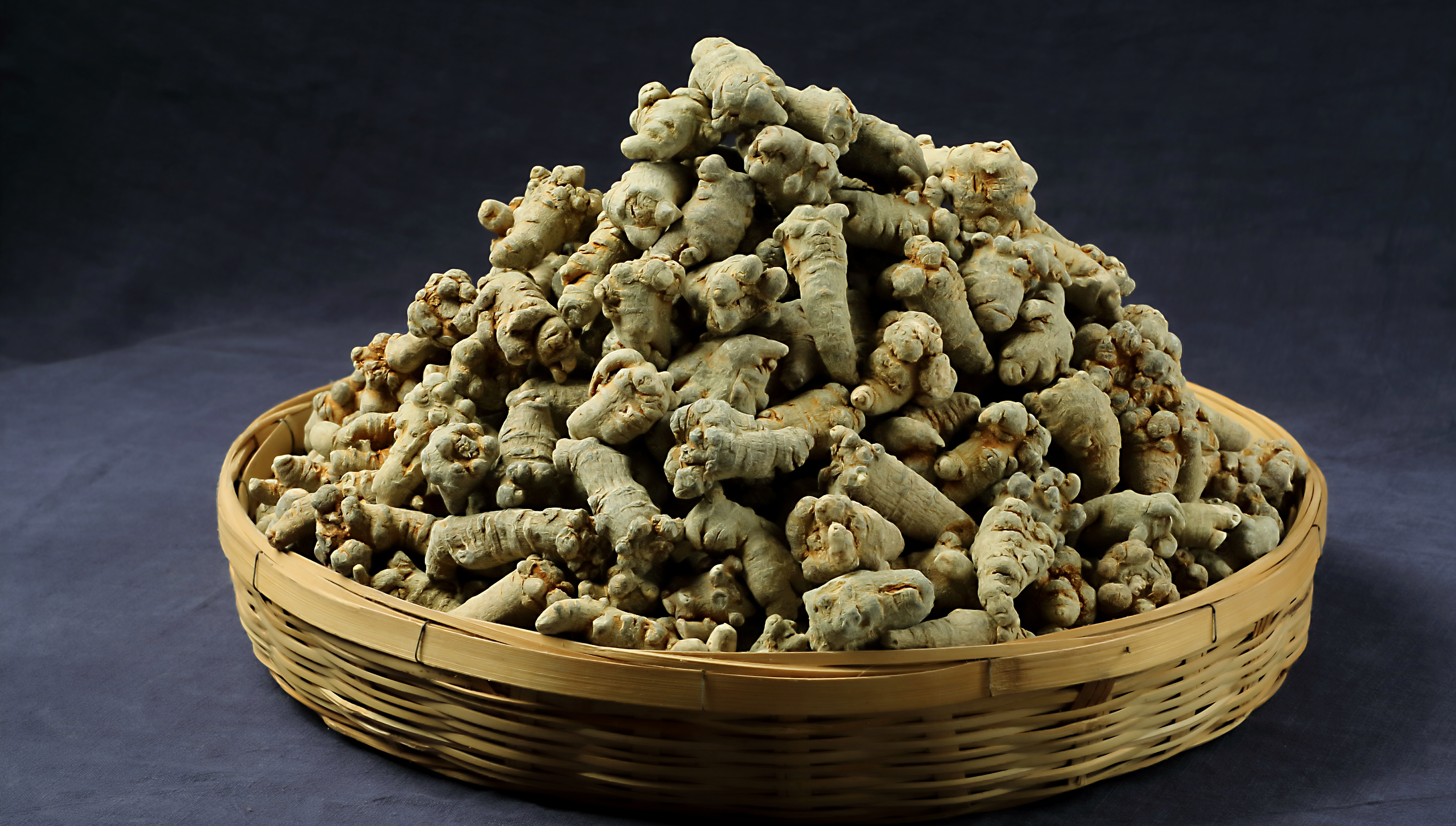 三七茶好處|沈陽三七價(jià)格|云壩古坊
