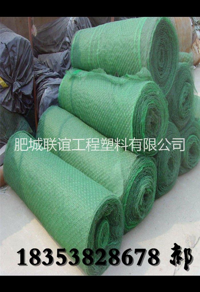 三維植被網(wǎng)廠家`三維復(fù)合網(wǎng)價(jià)格 三維網(wǎng)廠家三維網(wǎng)環(huán)保