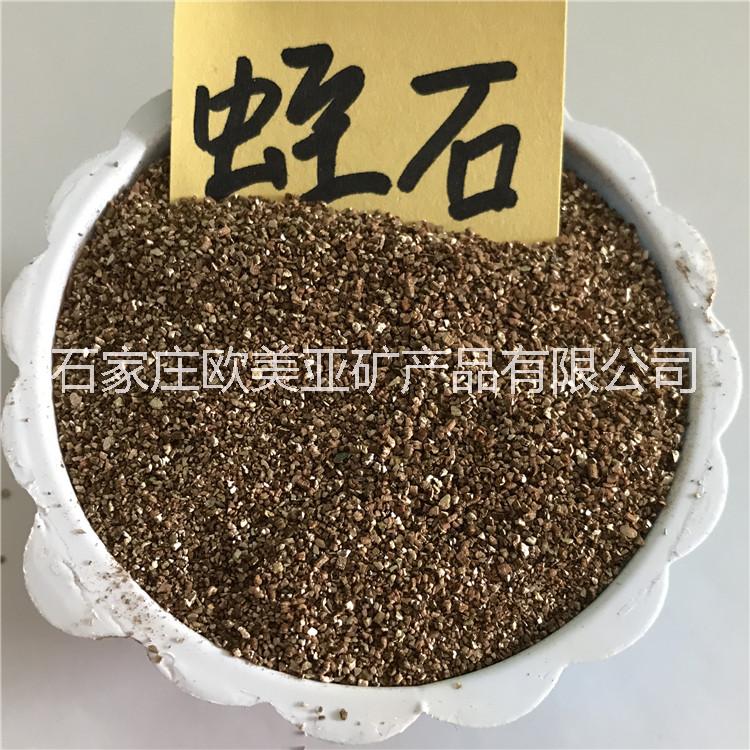 多肉植物種花微景觀*花卉盆栽盆景營養(yǎng)土蛭石