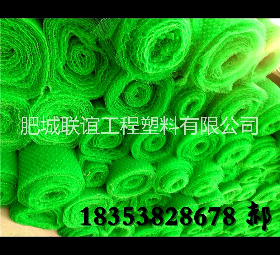 三維植被網(wǎng)廠家`三維復(fù)合網(wǎng)價(jià)格 三維網(wǎng)廠家三維網(wǎng)環(huán)保