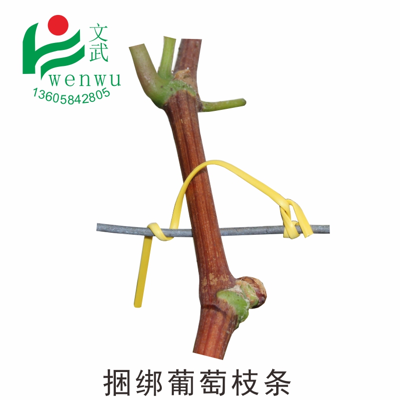 葡萄綁枝卡 電鍍鋅包塑園林鐵絲 葡萄綁扎絲 枝絲綁葡萄枝條用扎