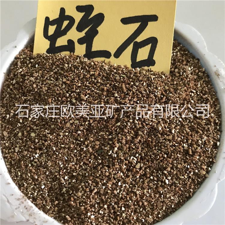 多肉植物種花微景觀*花卉盆栽盆景營養(yǎng)土蛭石