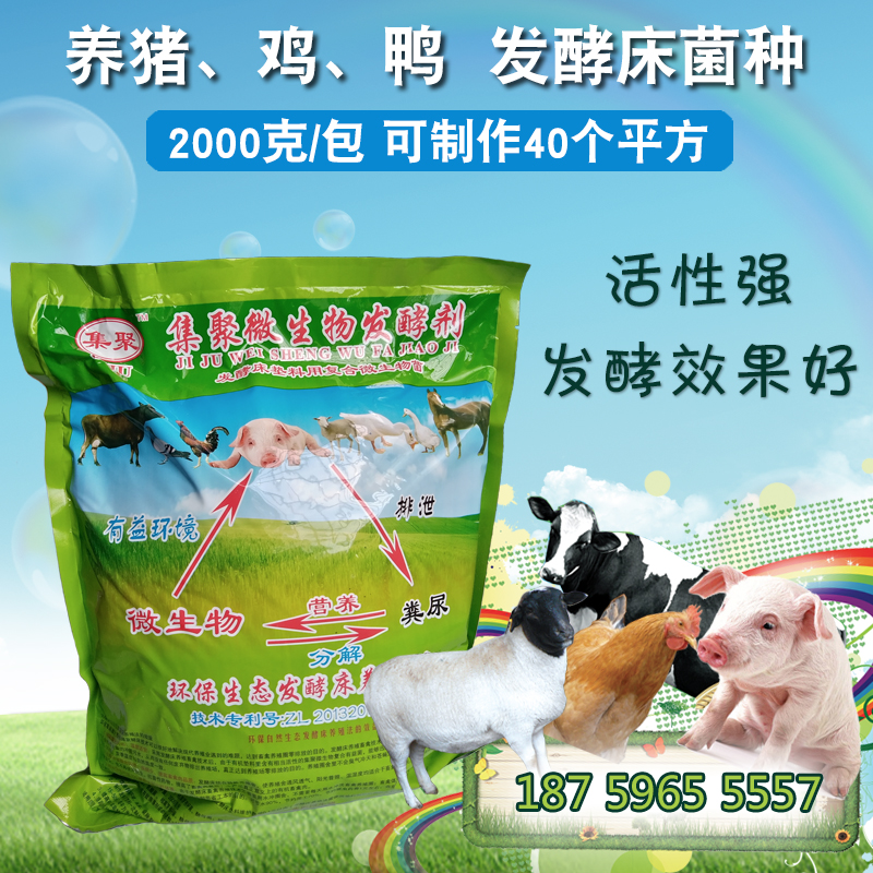 養(yǎng)豬場(chǎng) 豬糞發(fā)酵劑 零排放  糞便處理發(fā)酵劑 發(fā)酵床墊料菌種 發(fā)酵床墊料發(fā)酵劑