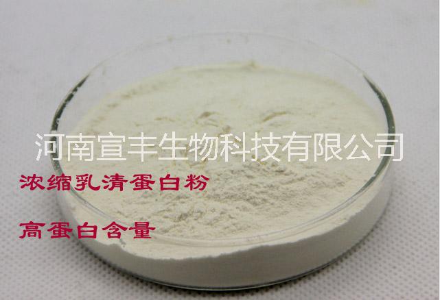 河南宣豐直銷食品級乳清蛋白的價格 生產廠家