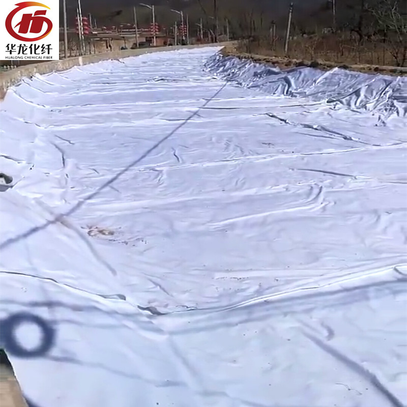 防水復(fù)合土工膜600g全新料復(fù)合土工膜  藍(lán)色防水復(fù)合土工膜 蓄水池防滲短纖復(fù)合膜兩布一膜 一布現(xiàn)貨熱賣兩布一膜